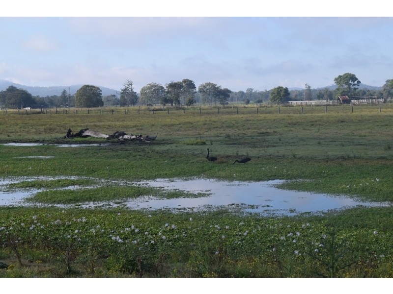 1132 Lower Coldstream Road, Ulmarra NSW 2462