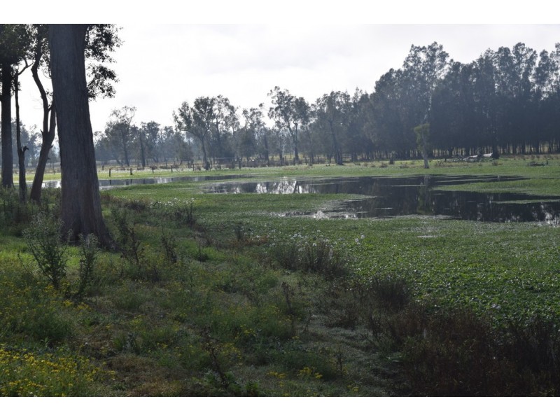 1132 Lower Coldstream Road, Ulmarra NSW 2462