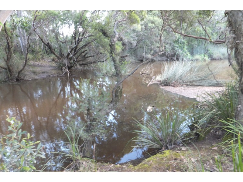 140 Browns Road, Halfway Creek NSW 2460