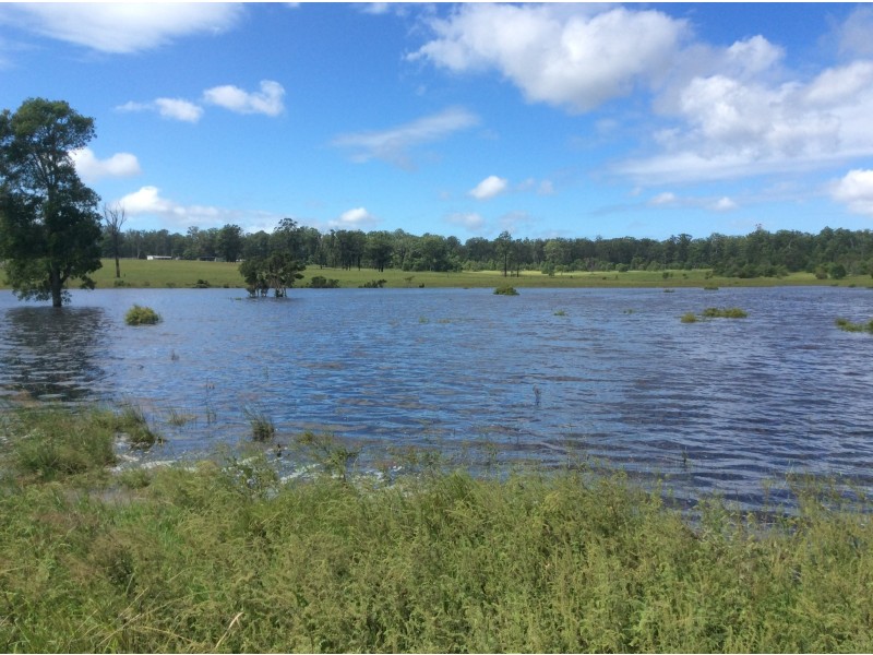 140 Browns Road, Halfway Creek NSW 2460