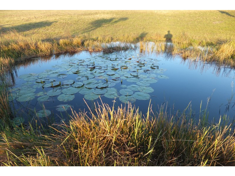 140 Browns Road, Halfway Creek NSW 2460