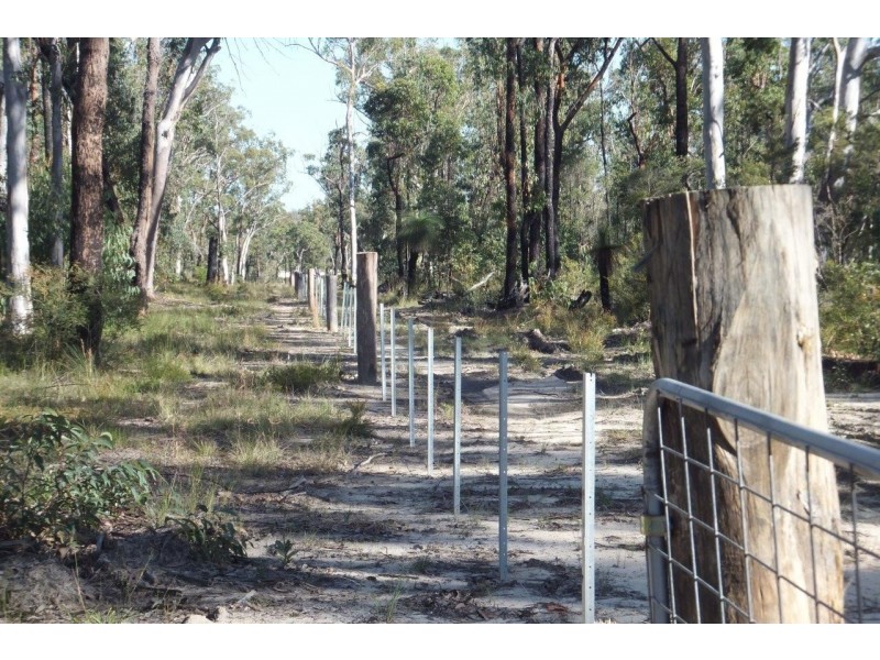 163 Parker Road, Wells Crossing NSW 2460