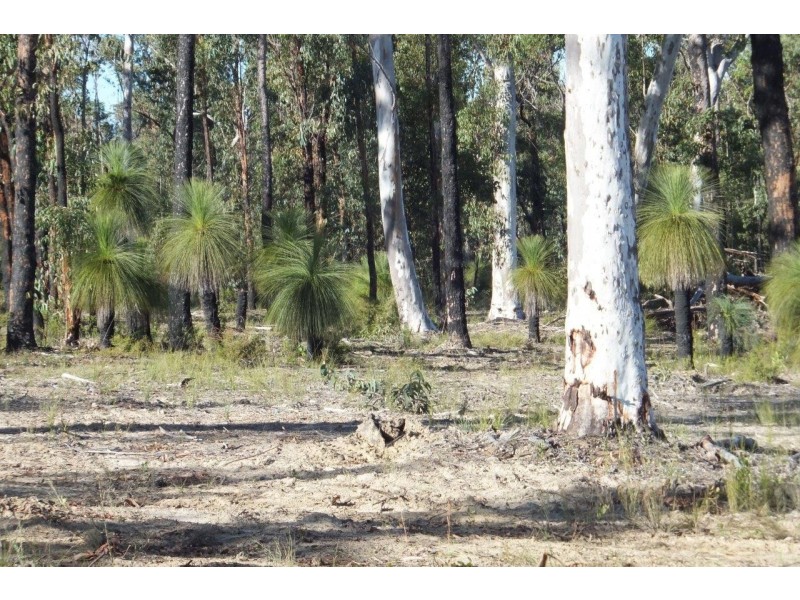 163 Parker Road, Wells Crossing NSW 2460