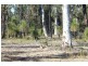 163 Parker Road, Wells Crossing NSW 2460
