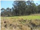 Lots Lots 101, 141, 102 & 133 Smiths Creek Ro, Smiths Creek NSW 2460