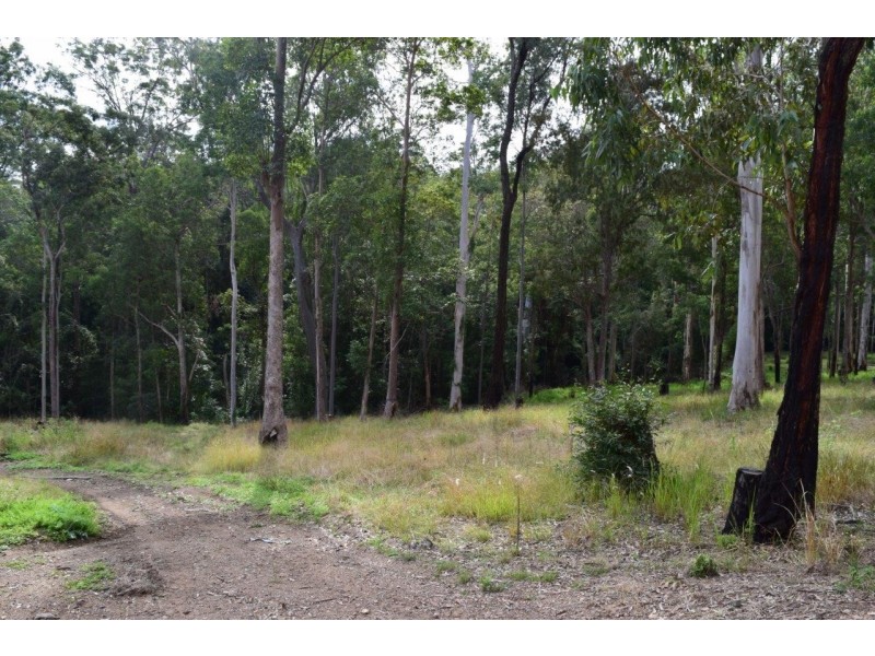 272 Black Mountain Road, Nymboida NSW 2460