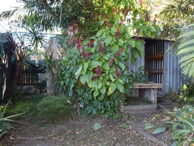 3 Maxwell Avenue, South Grafton NSW 2460