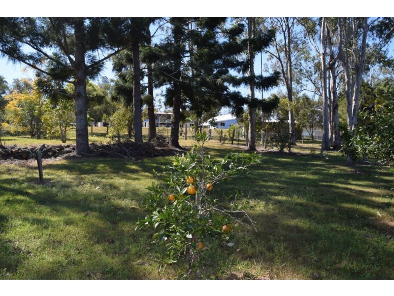 70 Grafton Street, Copmanhurst NSW 2460