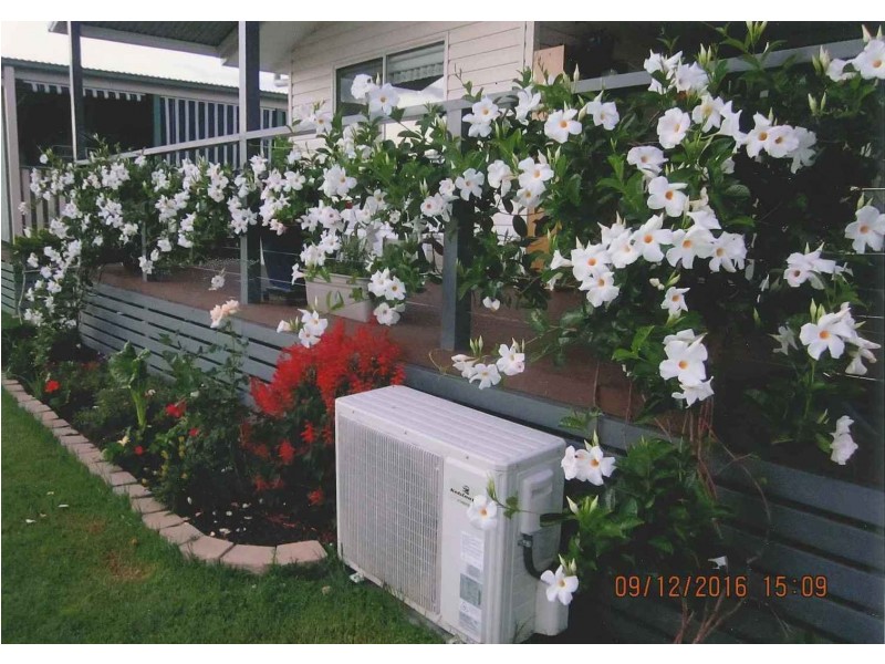 83 Picabeen Crescent/598 Summerland Way, Grafton NSW 2460