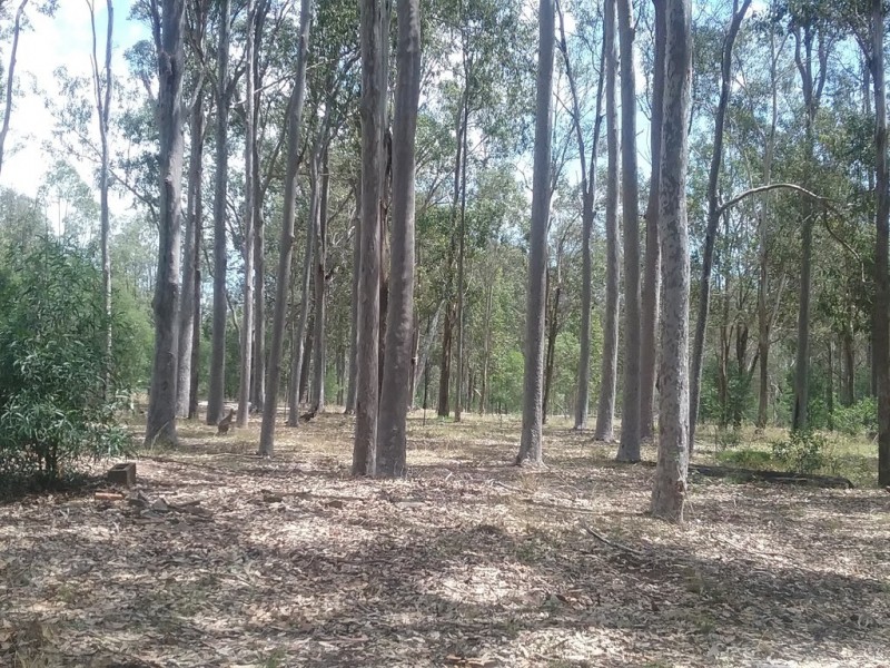 379 Four Mile Lane, Clarenza NSW 2460