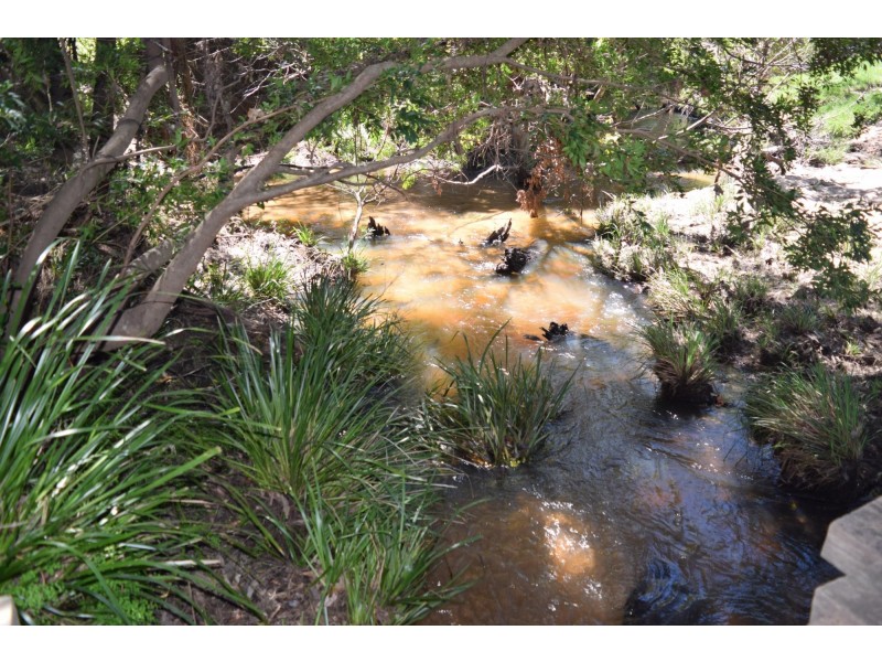 558 Middle Creek Road, Kremnos NSW 2460