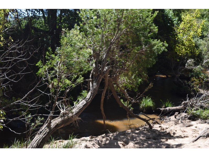 558 Middle Creek Road, Kremnos NSW 2460