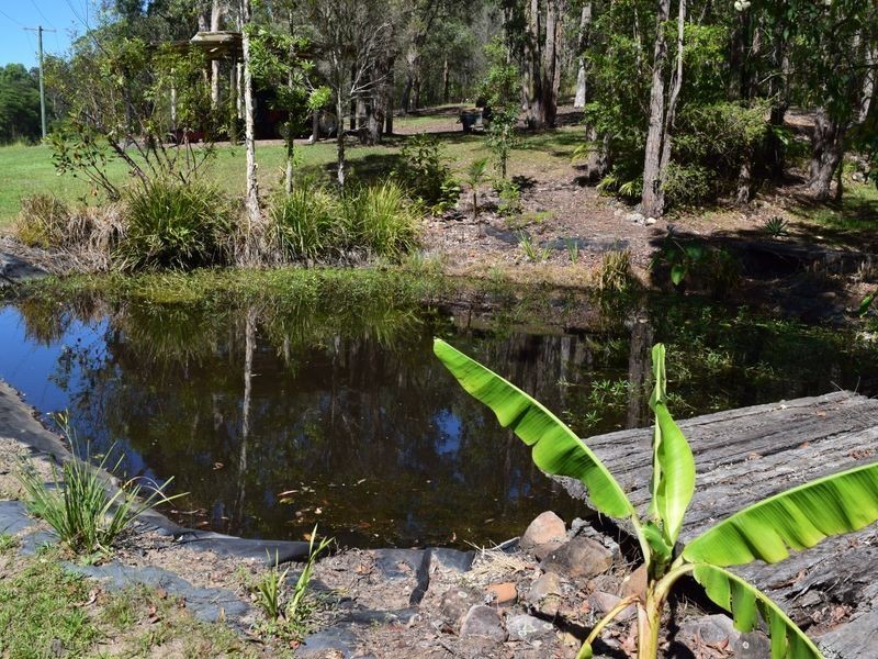 385 Four Mile Lane, Clarenza NSW 2460