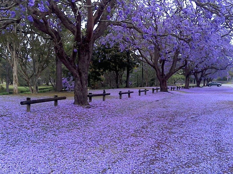 3/192 Dobie Street, Grafton NSW 2460