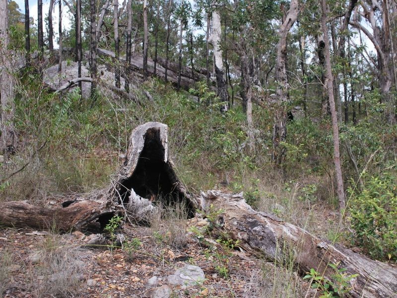 269 Blackbutt Road, Kremnos NSW 2460