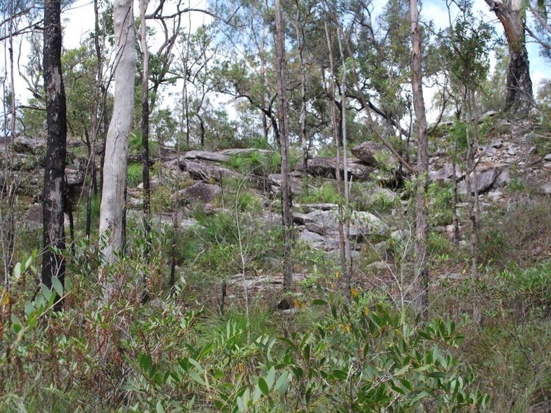 269 Blackbutt Road, Kremnos NSW 2460