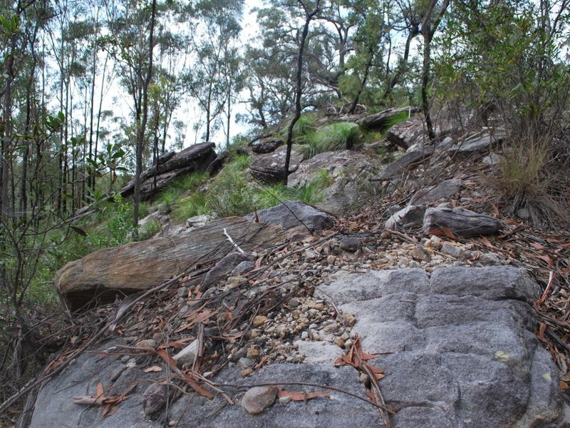 269 Blackbutt Road, Kremnos NSW 2460