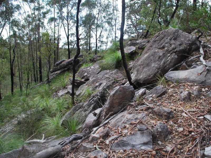 269 Blackbutt Road, Kremnos NSW 2460