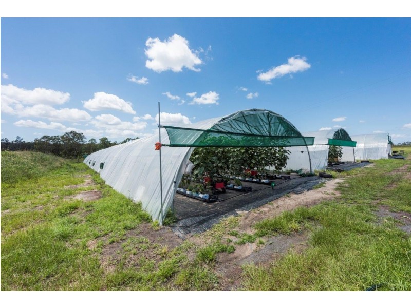 187 Tully Morgan Road, Lawrence NSW 2460