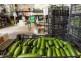 187 Tully Morgan Road, Lawrence NSW 2460