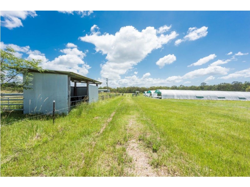 187 Tully Morgan Road, Lawrence NSW 2460