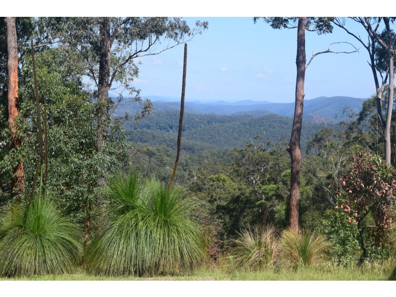 262 Black Mountain Road, Nymboida NSW 2460