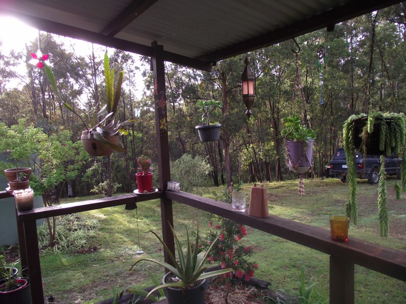 262 Black Mountain Road, Nymboida NSW 2460