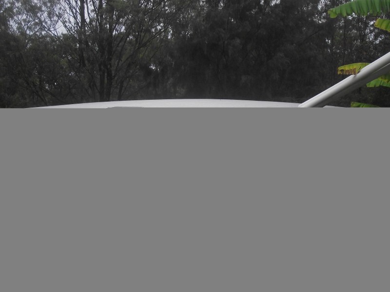 262 Black Mountain Road, Nymboida NSW 2460