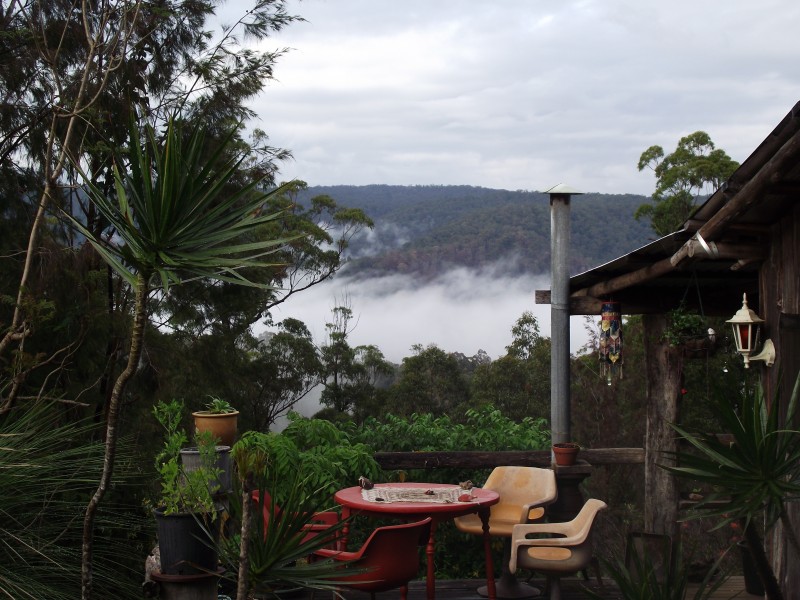 262 Black Mountain Road, Nymboida NSW 2460