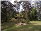 262 Black Mountain Road, Nymboida NSW 2460