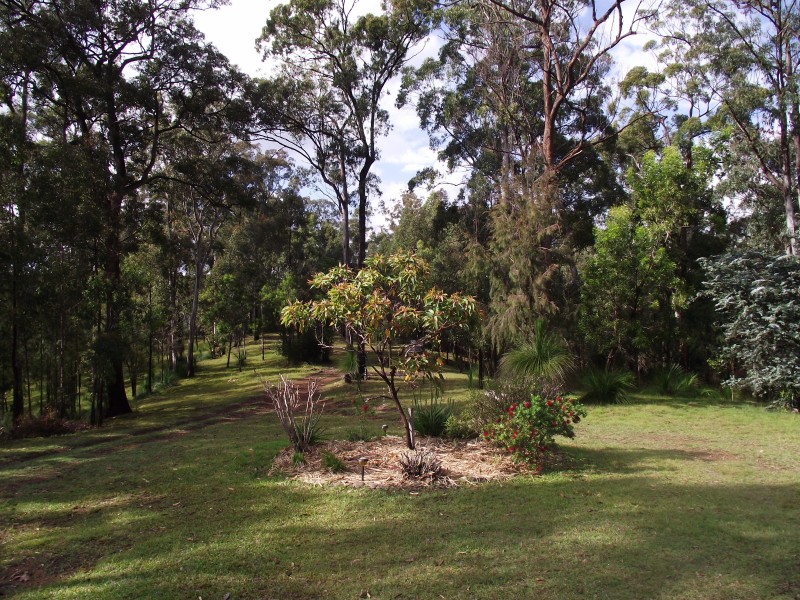 262 Black Mountain Road, Nymboida NSW 2460