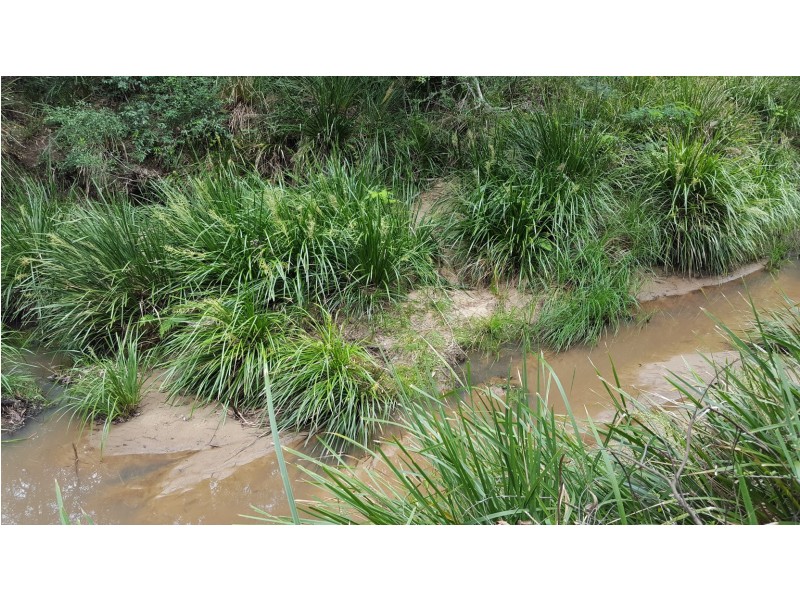 1639 Stockyard Creek Road, Coaldale NSW 2460