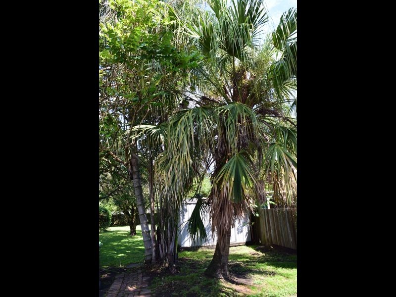 261 Prince Street, Grafton NSW 2460