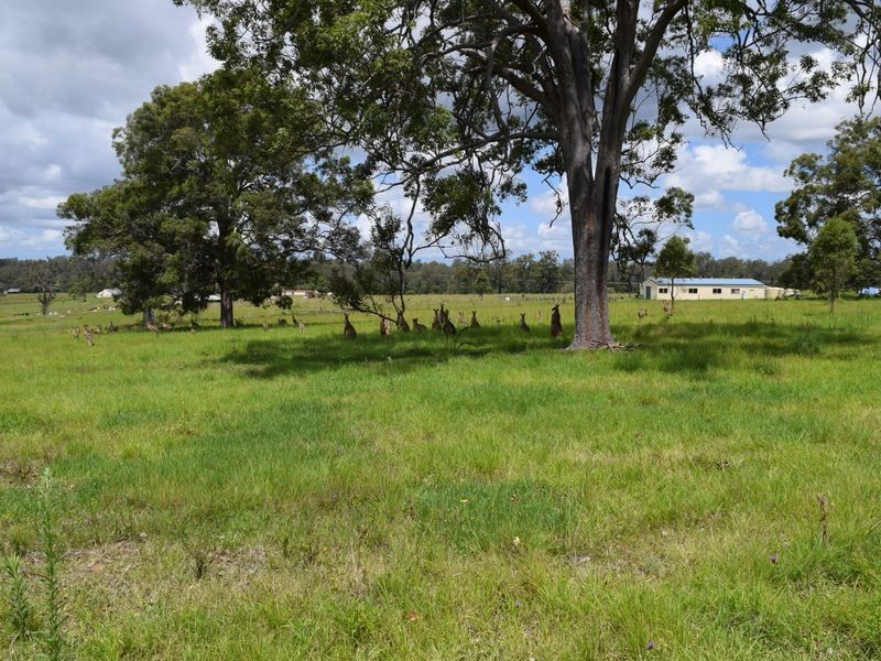 Lot 170 Kangaroo Creek Road, Coutts Crossing NSW 2460