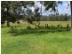 Lot 170 Kangaroo Creek Road, Coutts Crossing NSW 2460