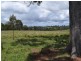 Lot 170 Kangaroo Creek Road, Coutts Crossing NSW 2460