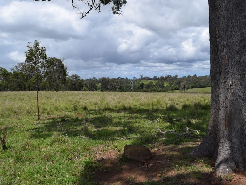 Lot 170 Kangaroo Creek Road, Coutts Crossing NSW 2460