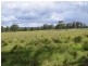 Lot 170 Kangaroo Creek Road, Coutts Crossing NSW 2460