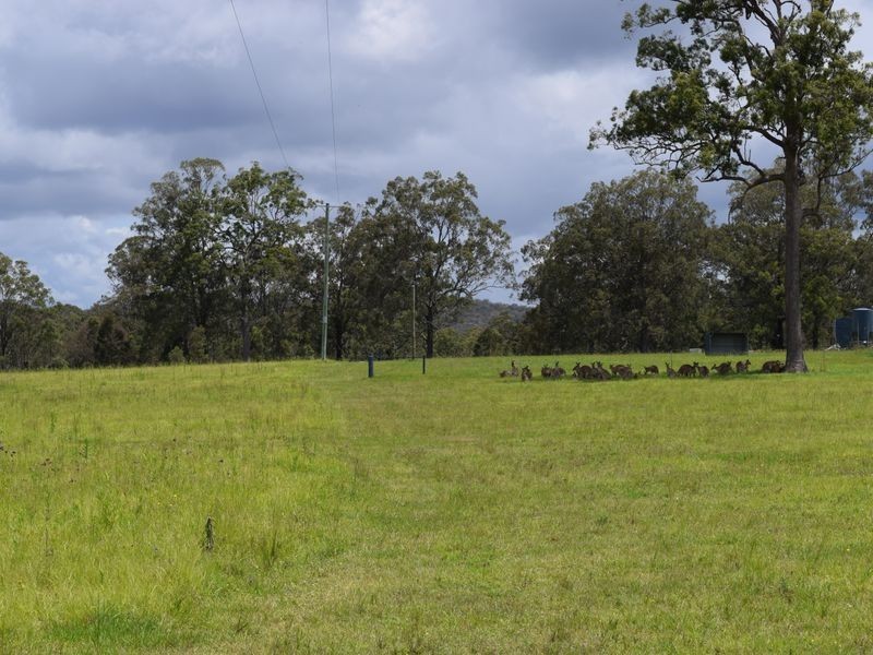 Lot 170 Kangaroo Creek Road, Coutts Crossing NSW 2460