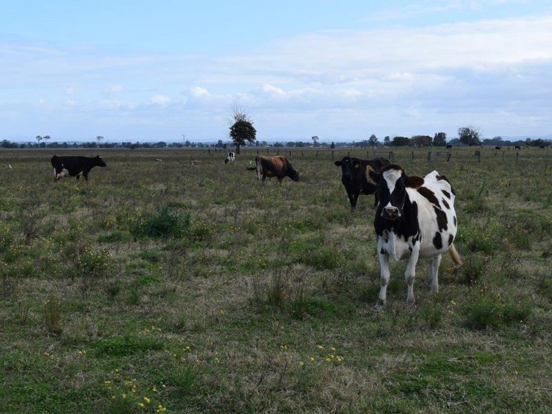 715 Lawrence Road, Southgate NSW 2460