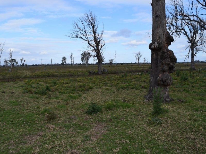 715 Lawrence Road, Southgate NSW 2460