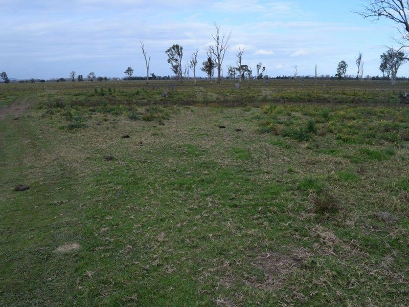 715 Lawrence Road, Southgate NSW 2460