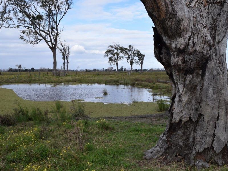 715 Lawrence Road, Southgate NSW 2460