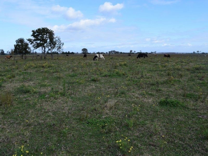 715 Lawrence Road, Southgate NSW 2460