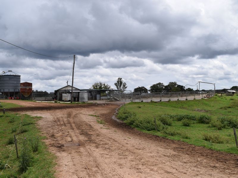 Four Farms Southgate Lawrence Road, Grafton NSW 2460