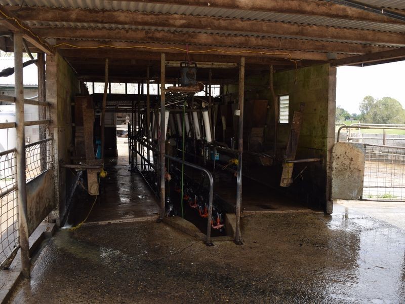 Four Farms Southgate Lawrence Road, Grafton NSW 2460