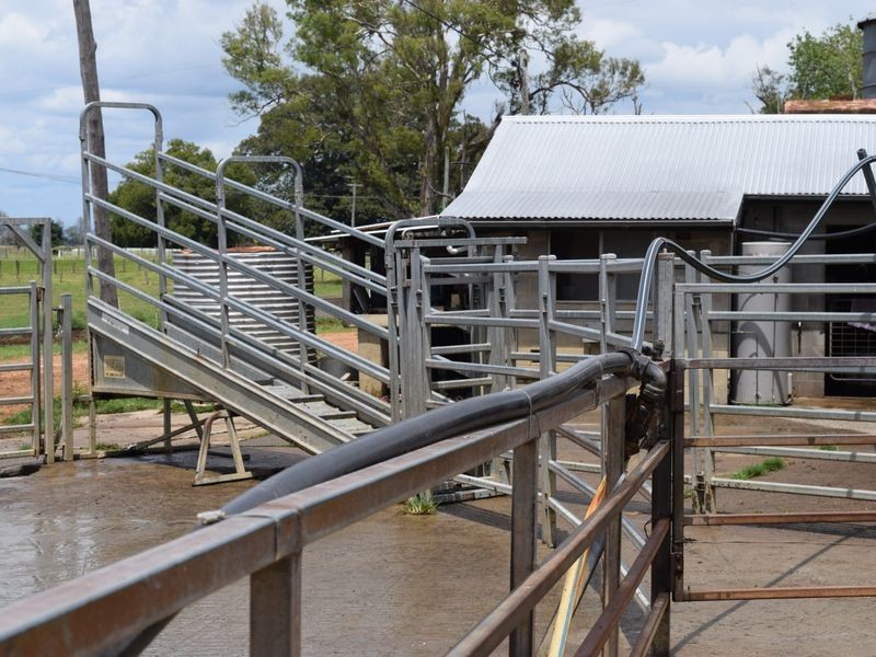 Four Farms Southgate Lawrence Road, Grafton NSW 2460