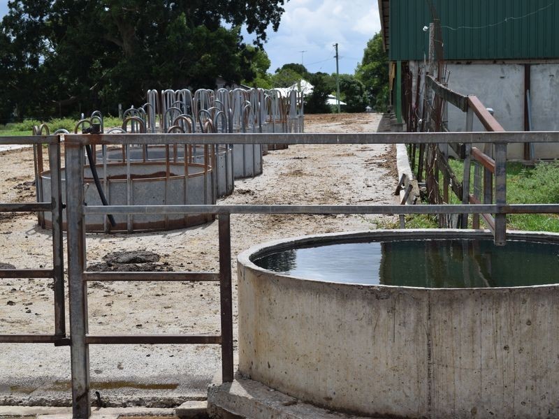 Four Farms Southgate Lawrence Road, Grafton NSW 2460