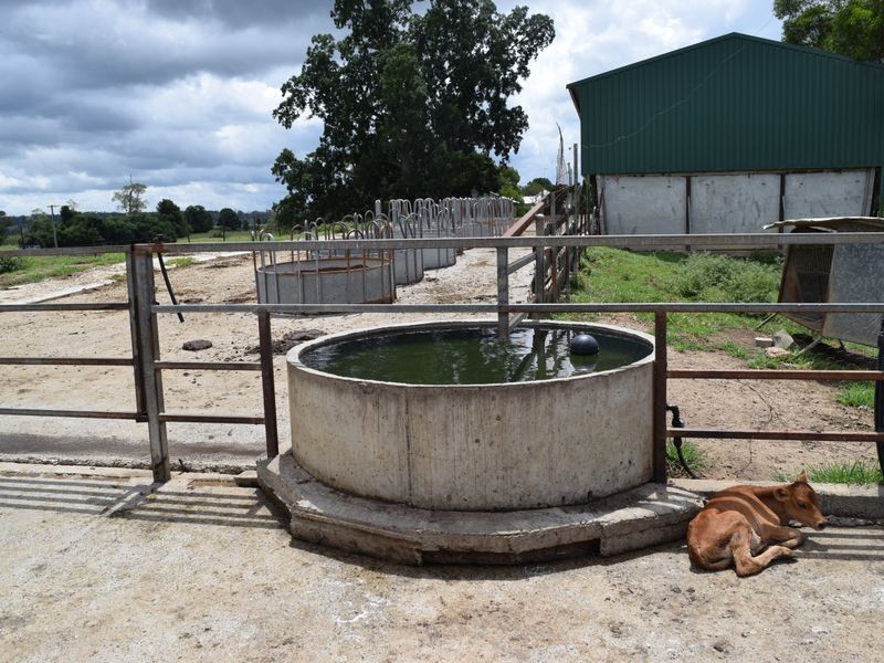 Four Farms Southgate Lawrence Road, Grafton NSW 2460