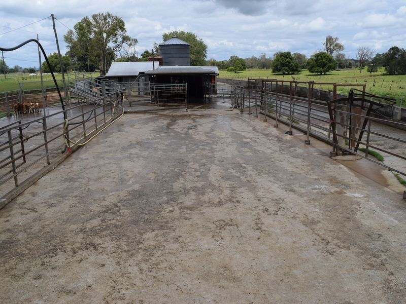 Four Farms Southgate Lawrence Road, Grafton NSW 2460